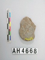 藏品(小型片狀砝碼型石網墜)的圖片